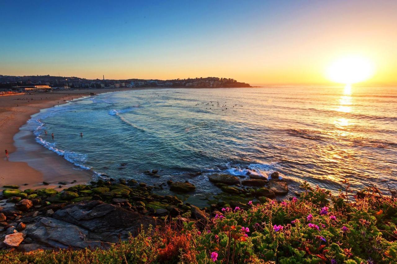 Newlife Serviced Apartments Bondi Junction Sydney Exteriér fotografie